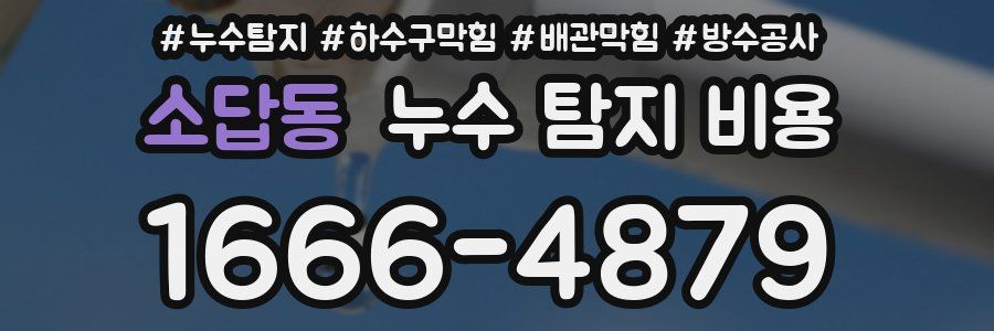 소답동 누수 탐지 비용