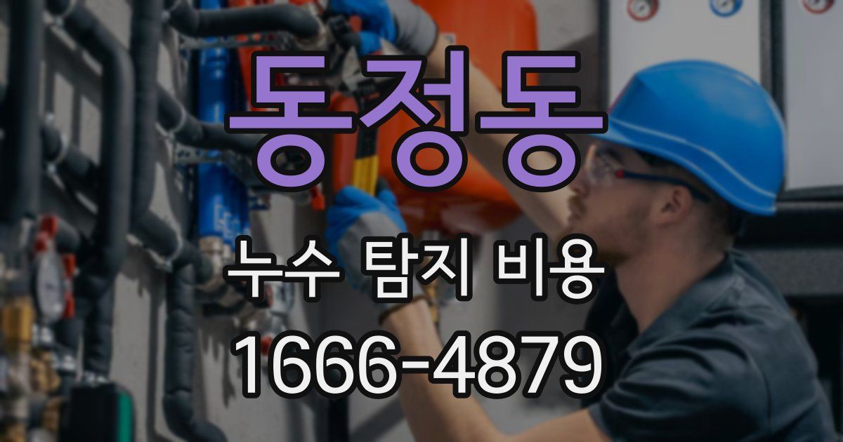 동정동 누수 탐지 비용