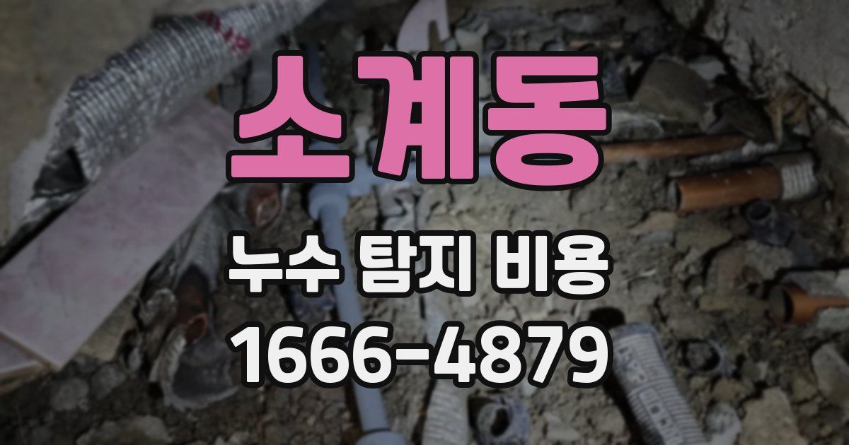 소계동 누수 탐지 비용