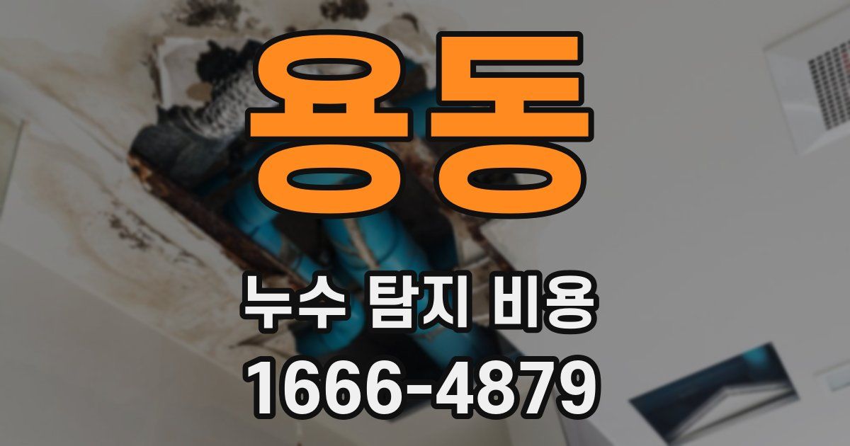 용동 누수 탐지 비용