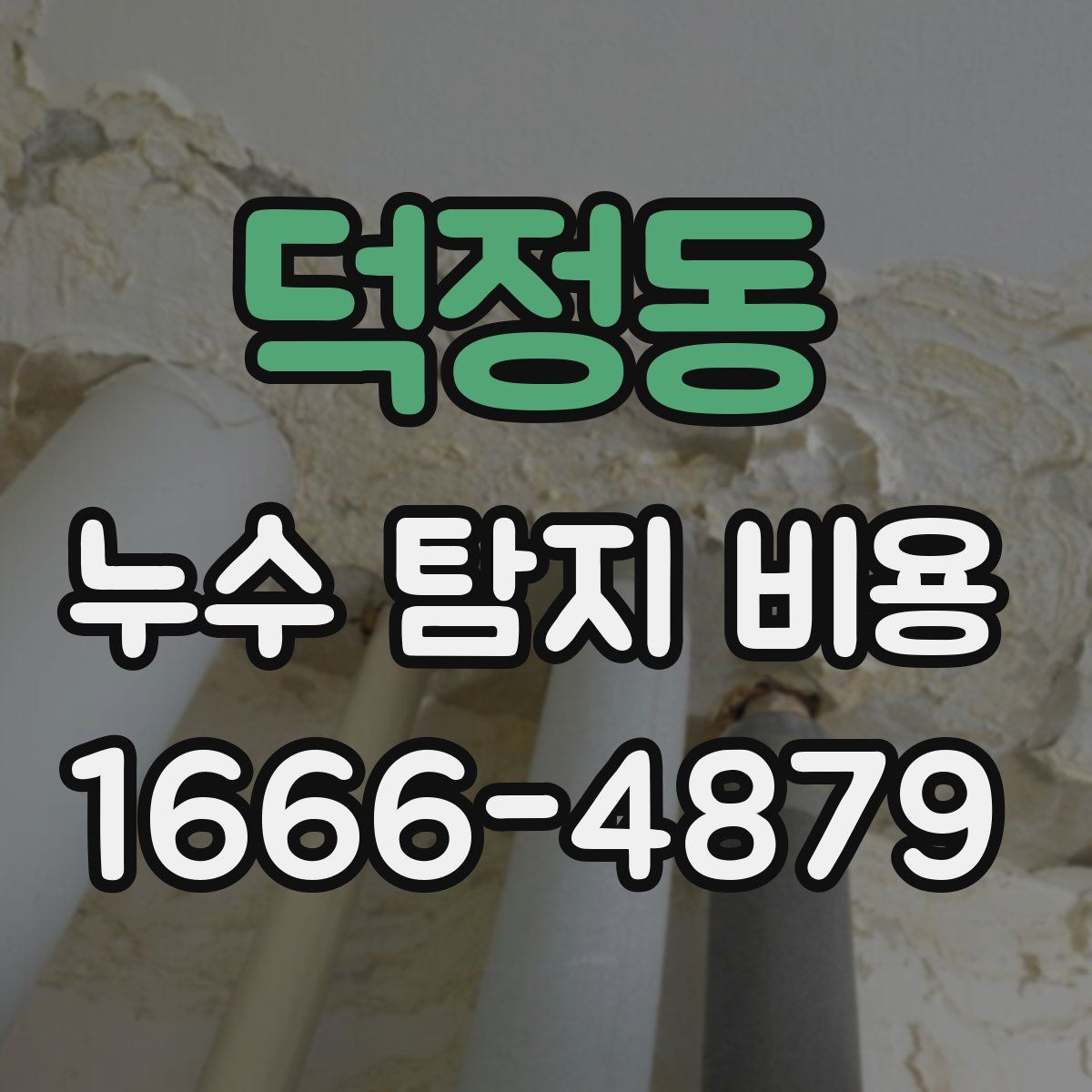 덕정동 누수 탐지 비용