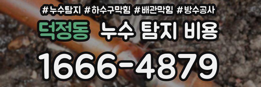 덕정동 누수 탐지 비용