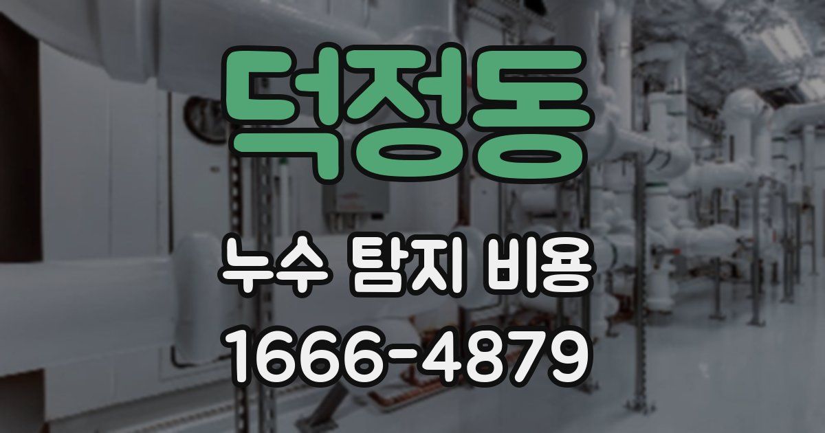 덕정동 누수 탐지 비용