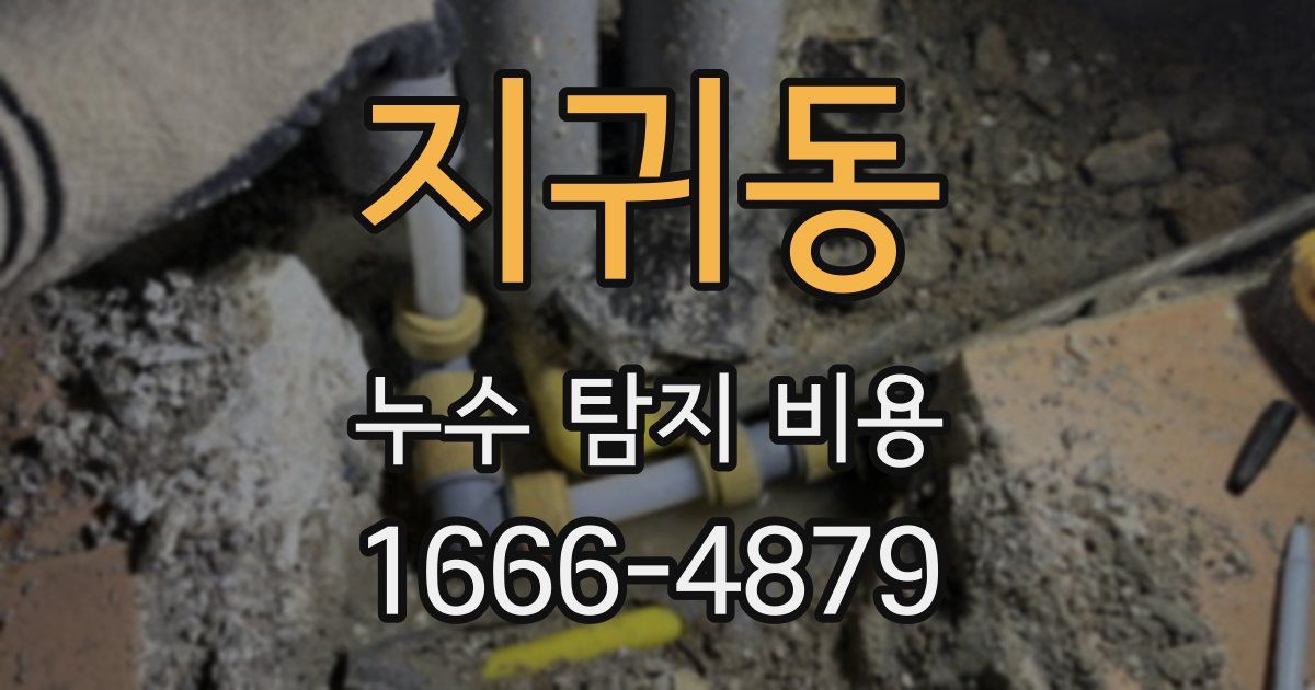 지귀동 누수 탐지 비용