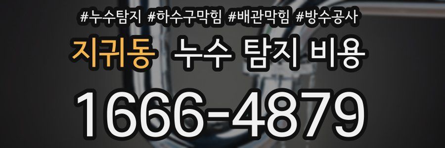 지귀동 누수 탐지 비용