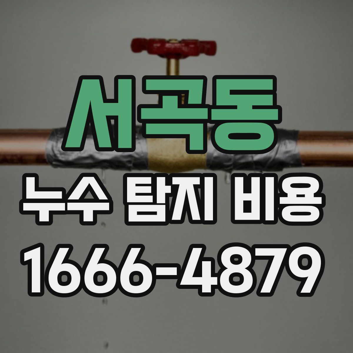 서곡동 누수 탐지 비용