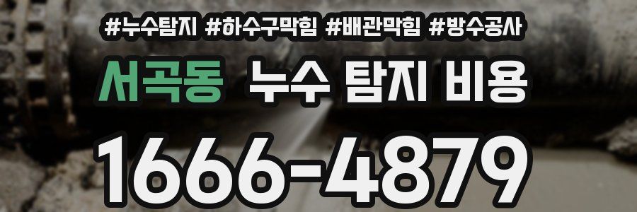서곡동 누수 탐지 비용