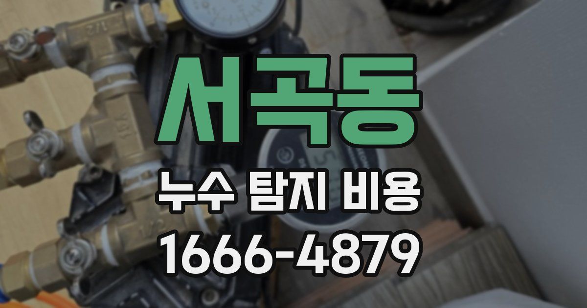 서곡동 누수 탐지 비용