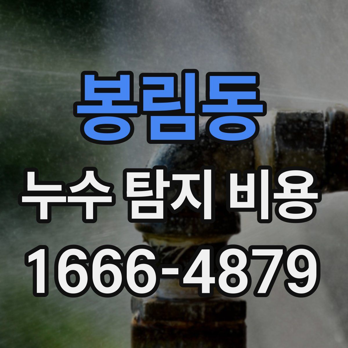 봉림동 누수 탐지 비용