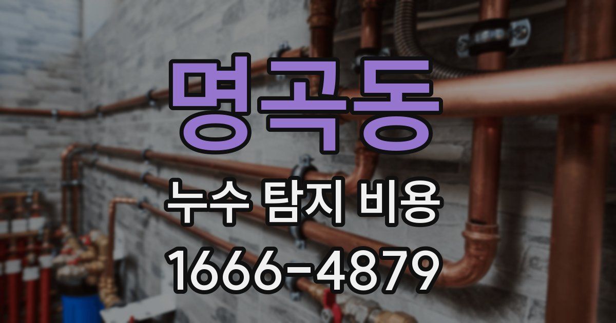 명곡동 누수 탐지 비용