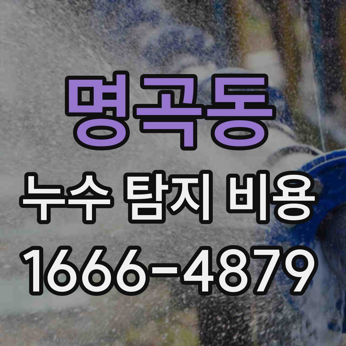 명곡동 누수 탐지 비용