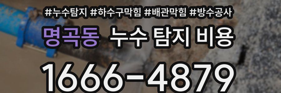 명곡동 누수 탐지 비용