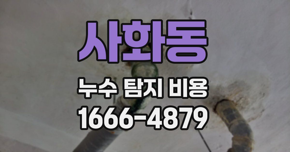 사화동 누수 탐지 비용