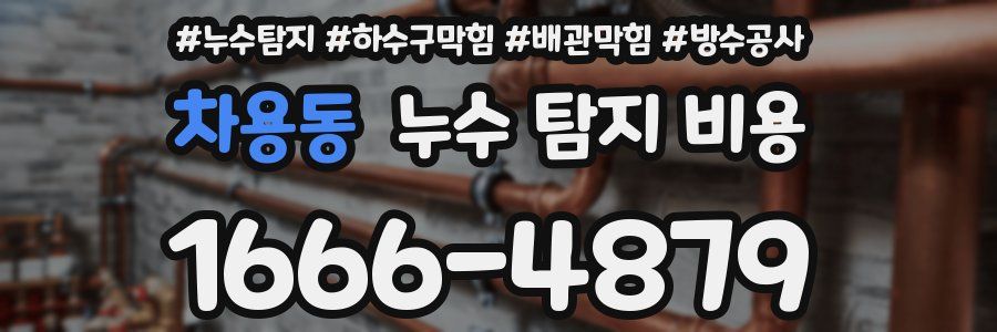 차용동 누수 탐지 비용