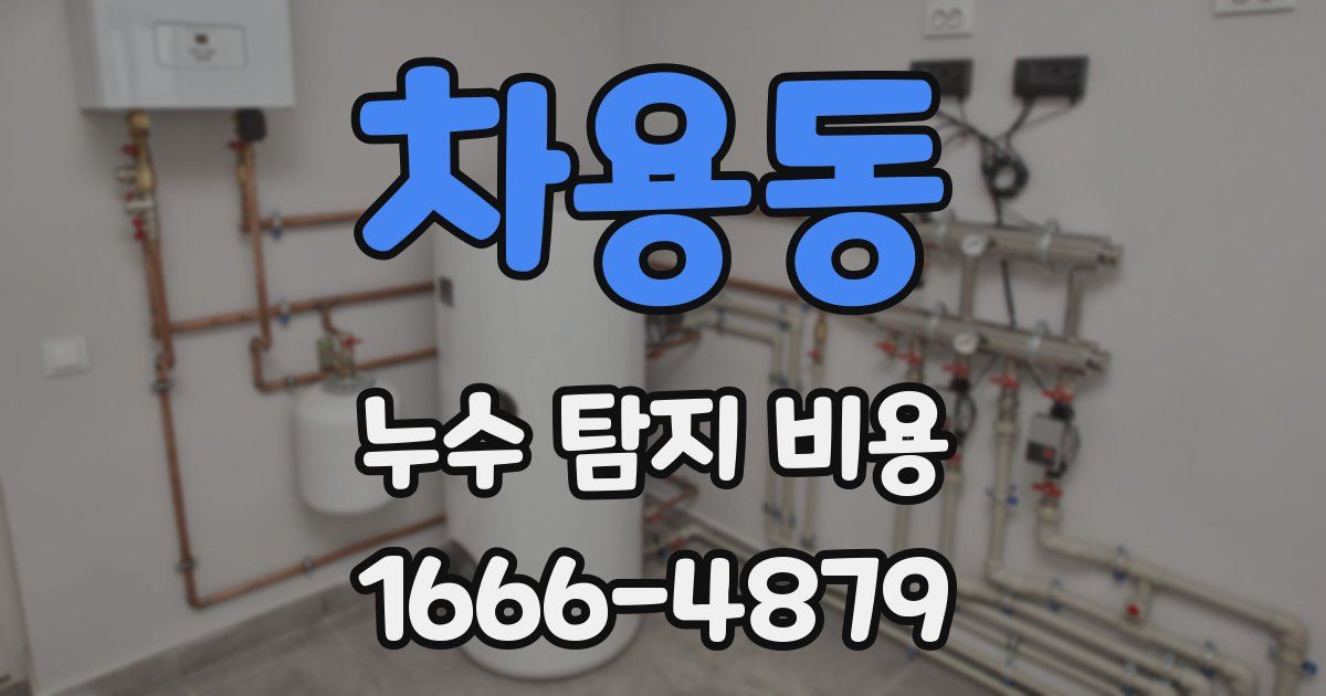 차용동 누수 탐지 비용