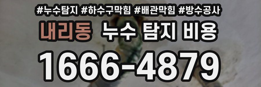 내리동 누수 탐지 비용