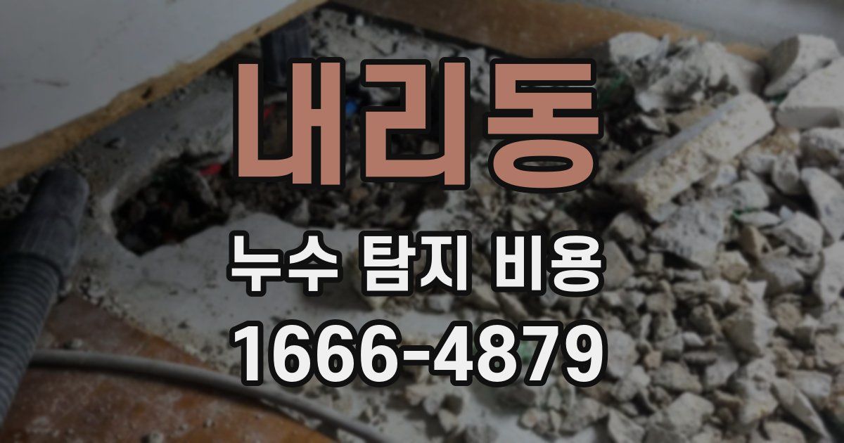 내리동 누수 탐지 비용