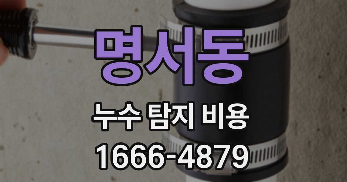 명서동 누수 탐지 비용