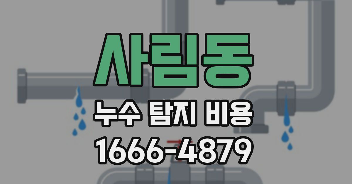 사림동 누수 탐지 비용