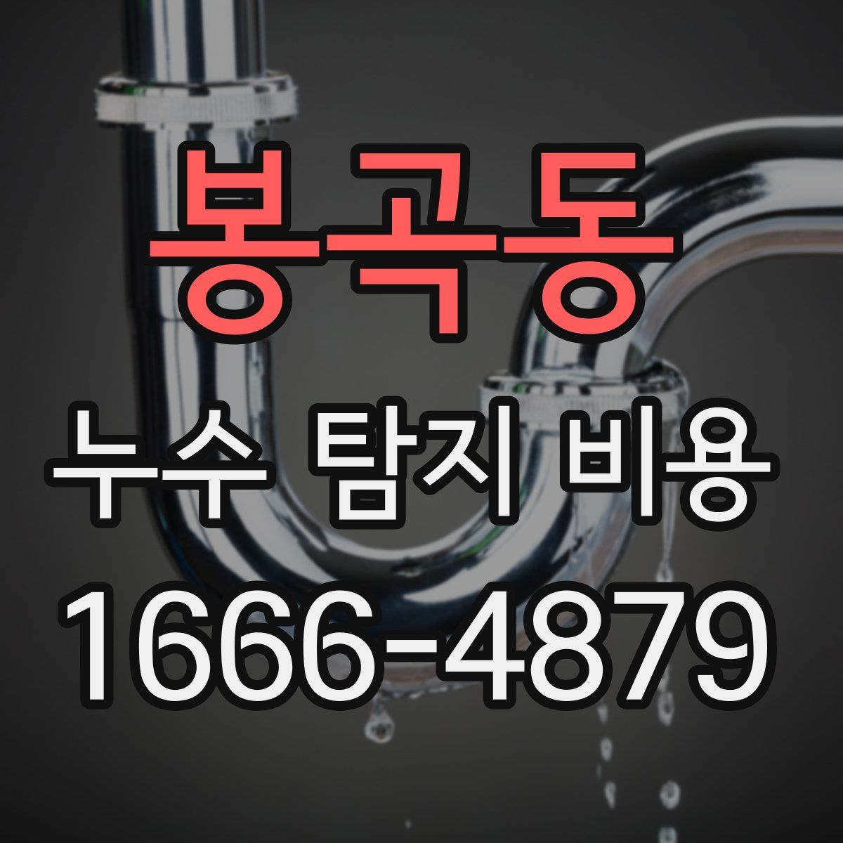 봉곡동 누수 탐지 비용