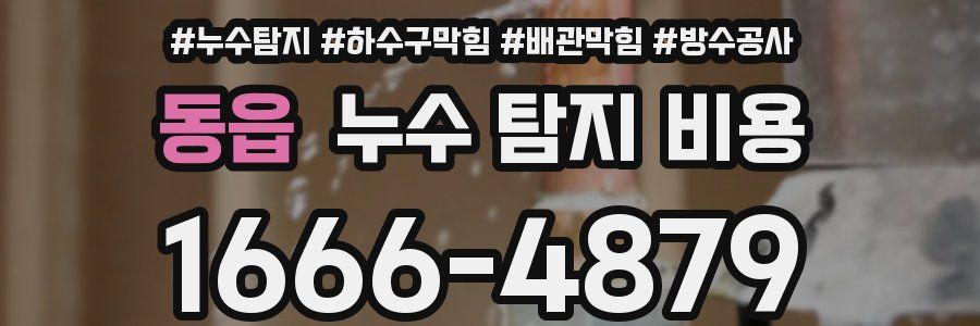 동읍 누수 탐지 비용