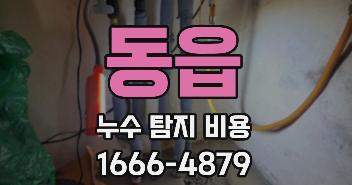 동읍 누수 탐지 비용