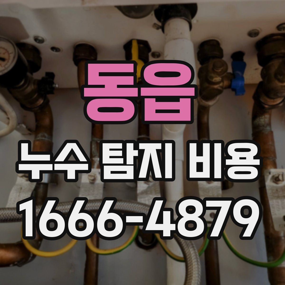 동읍 누수 탐지 비용