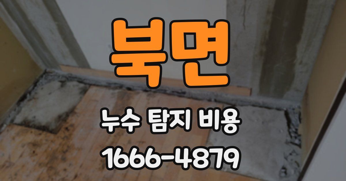 북면 누수 탐지 비용