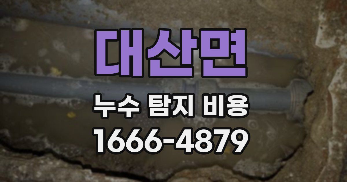 대산면 누수 탐지 비용