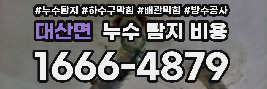 대산면 누수 탐지 비용