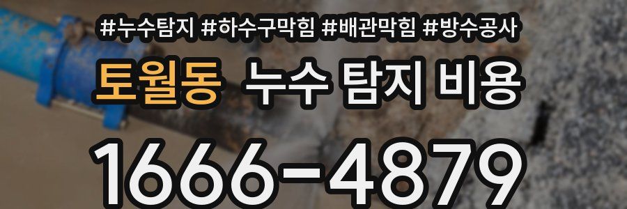 토월동 누수 탐지 비용