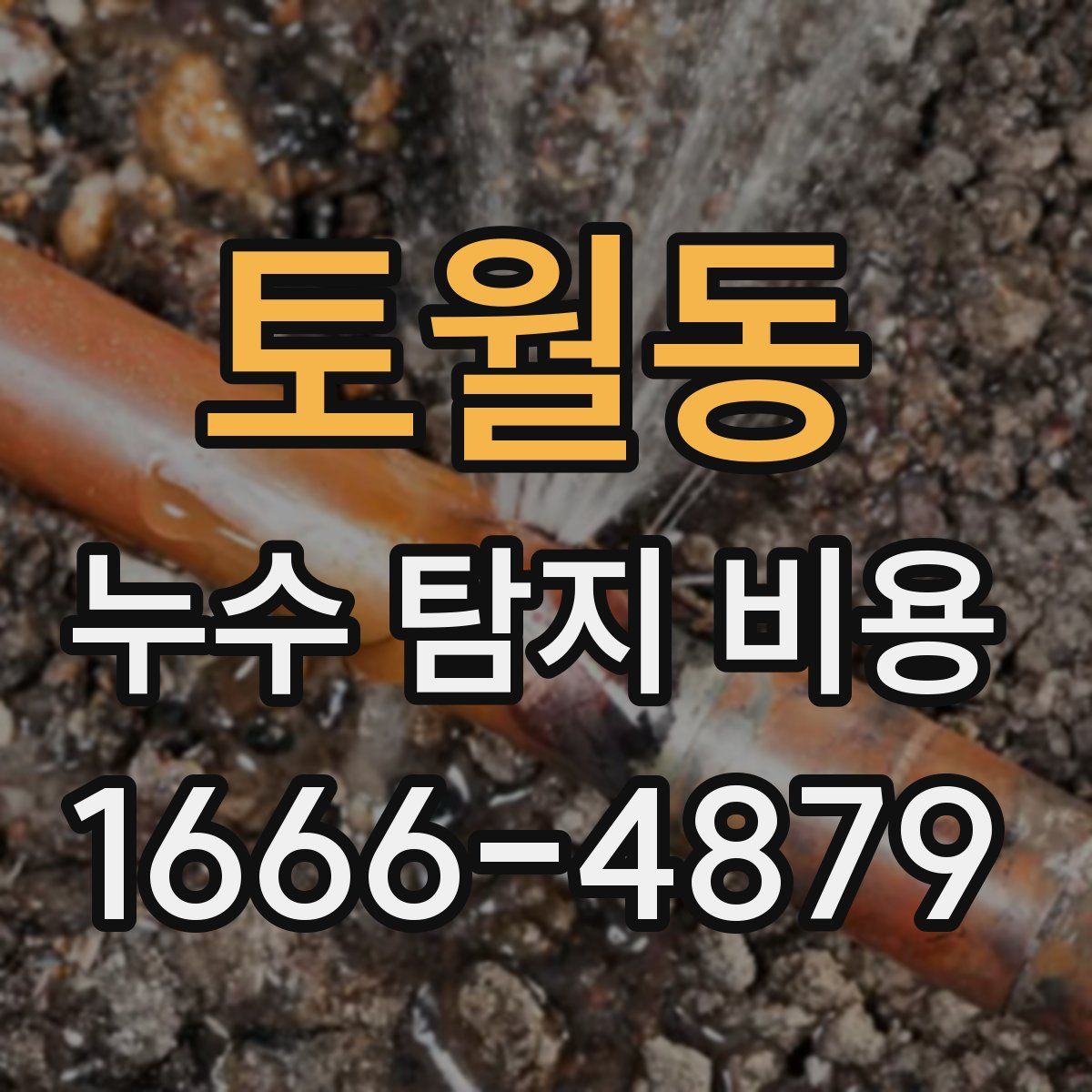 토월동 누수 탐지 비용