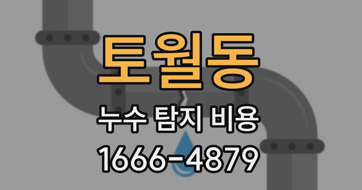 토월동 누수 탐지 비용