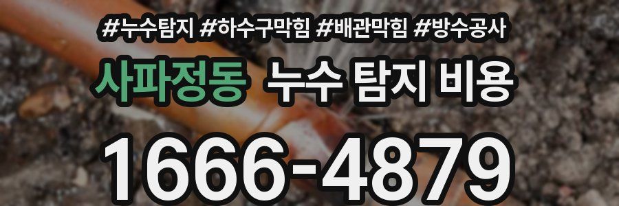 사파정동 누수 탐지 비용