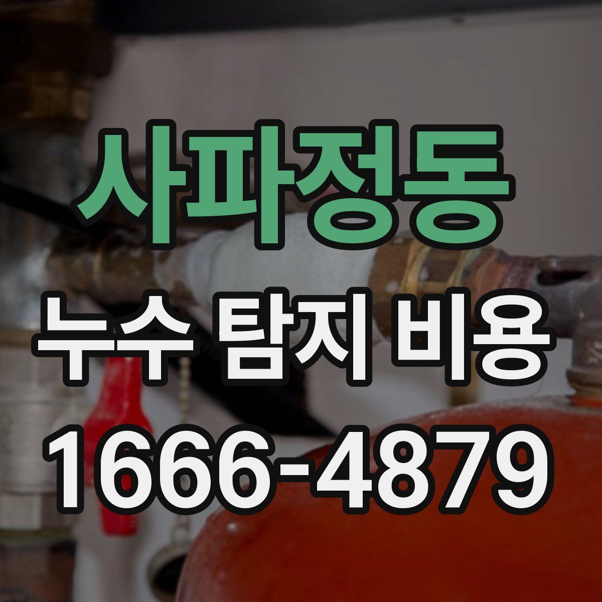사파정동 누수 탐지 비용