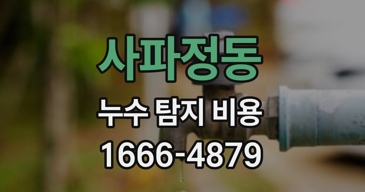 사파정동 누수 탐지 비용