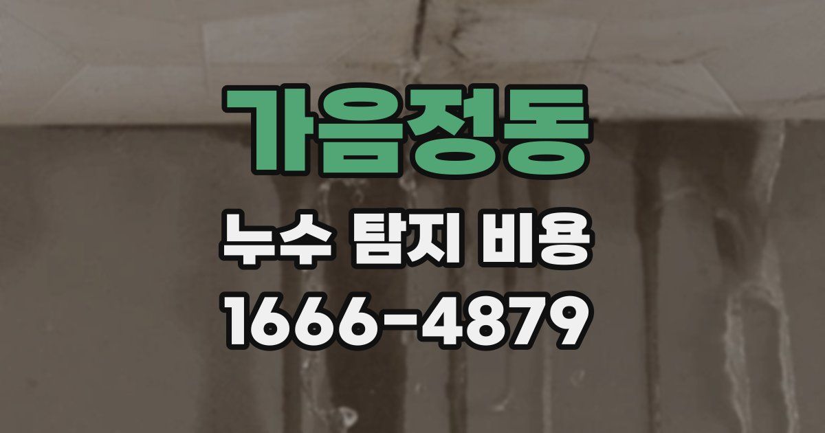 가음정동 누수 탐지 비용