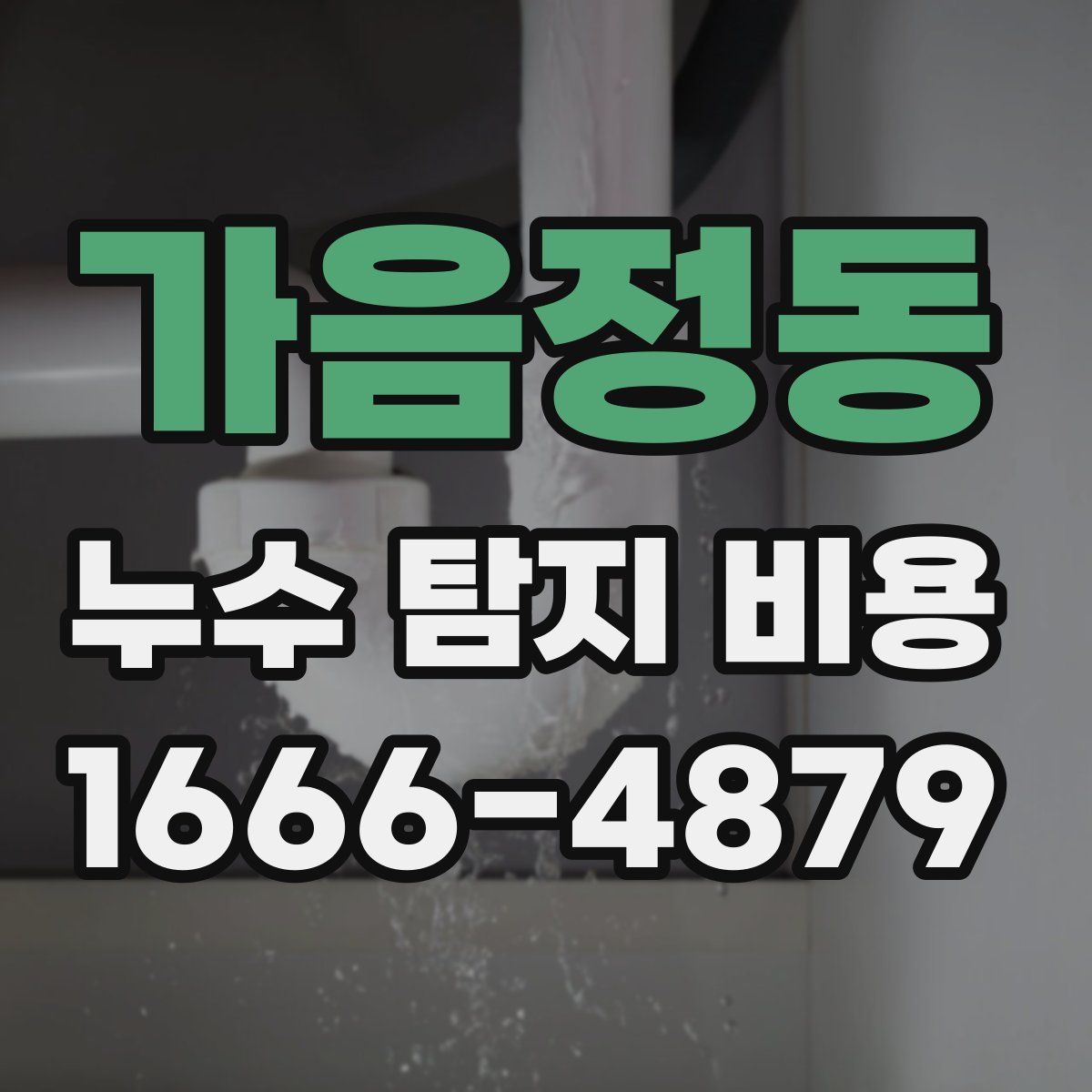 가음정동 누수 탐지 비용