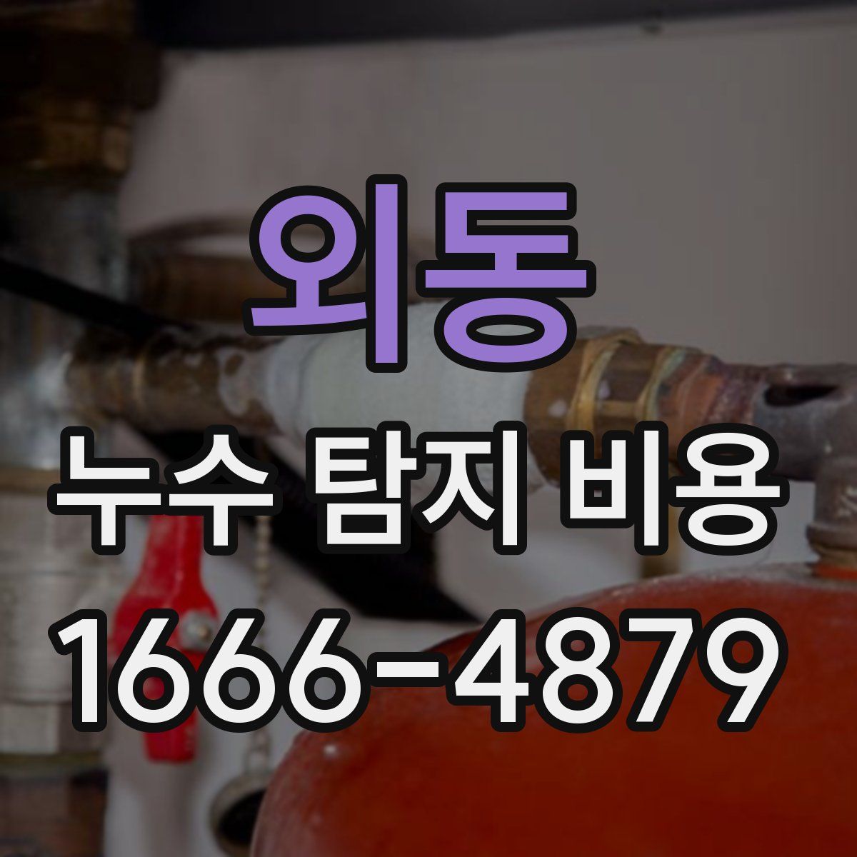 외동 누수 탐지 비용