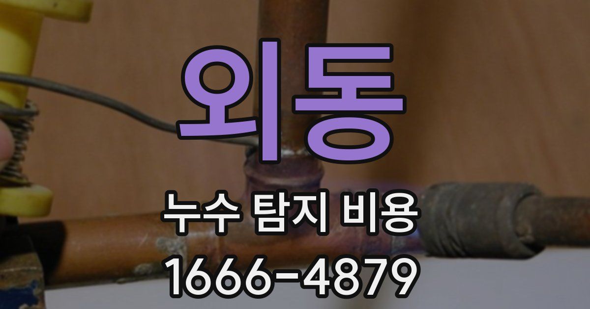 외동 누수 탐지 비용