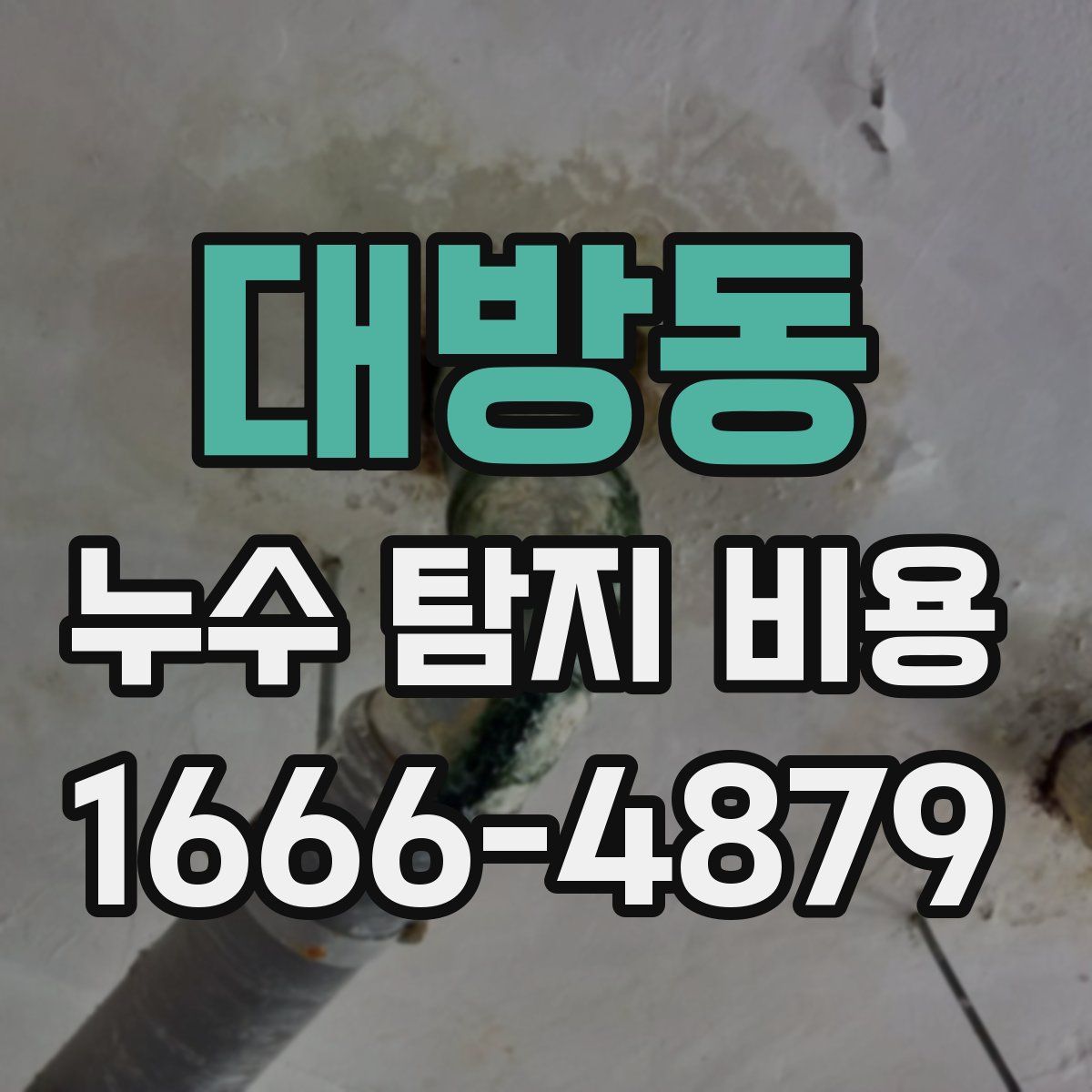 대방동 누수 탐지 비용