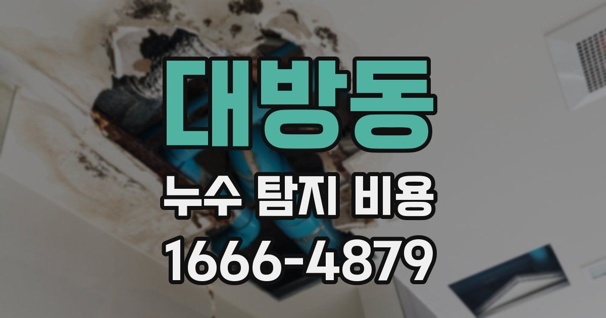 대방동 누수 탐지 비용