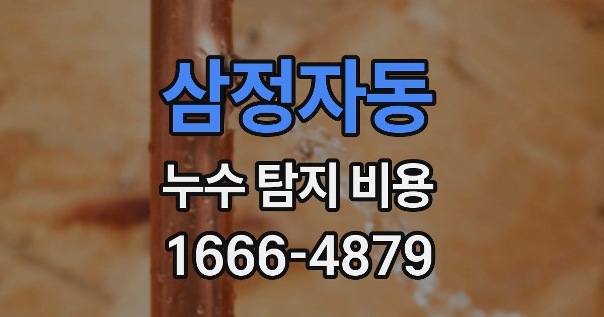 삼정자동 누수 탐지 비용