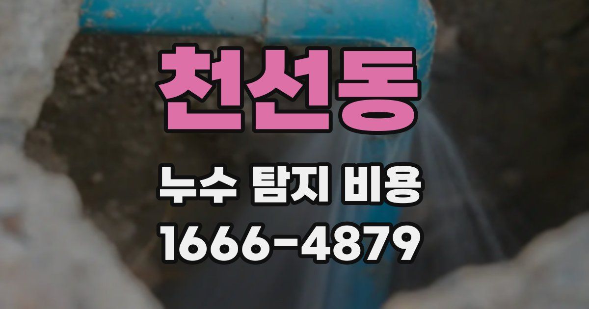 천선동 누수 탐지 비용