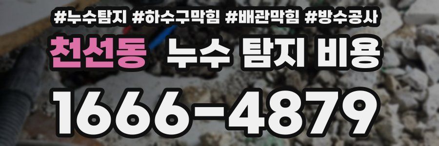 천선동 누수 탐지 비용