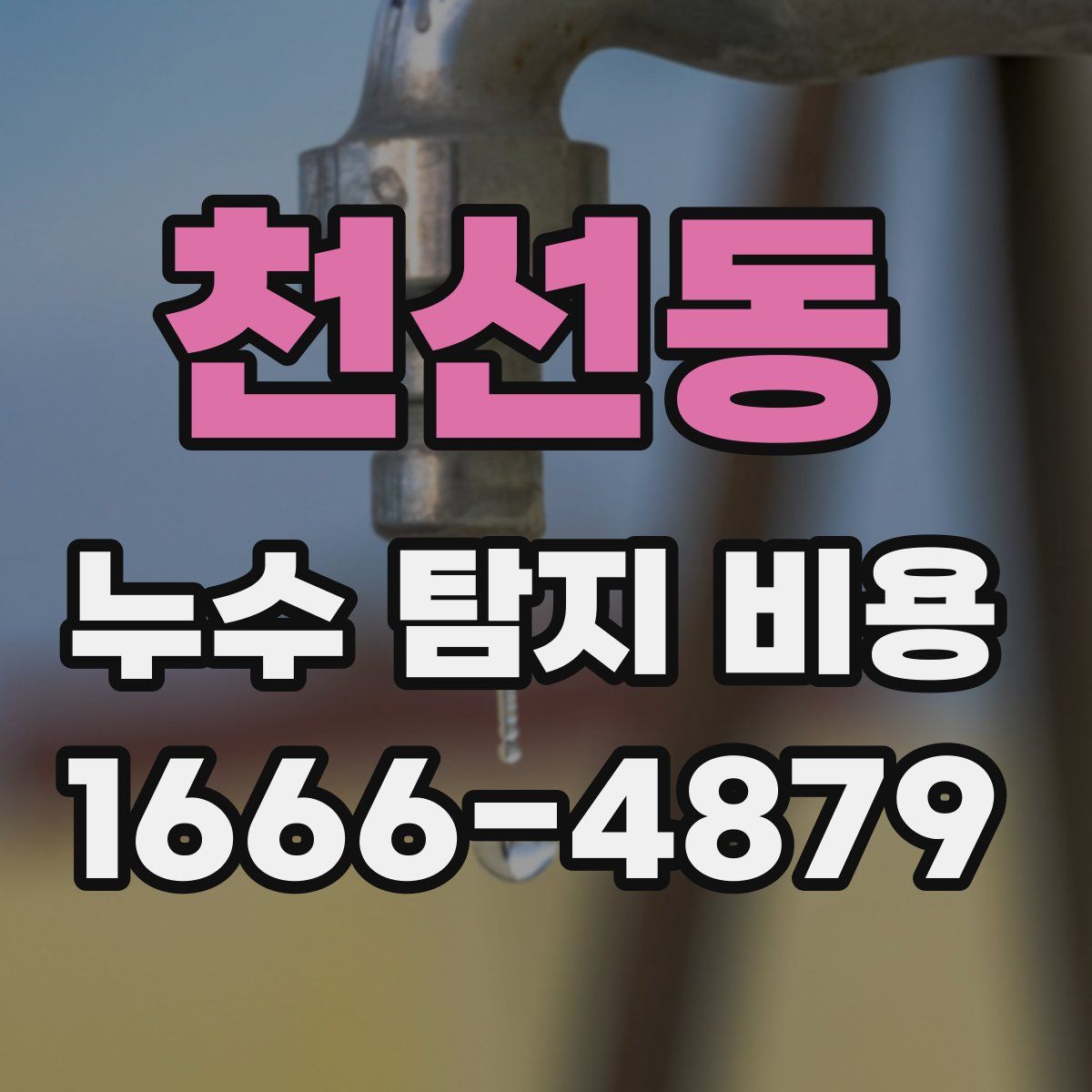 천선동 누수 탐지 비용