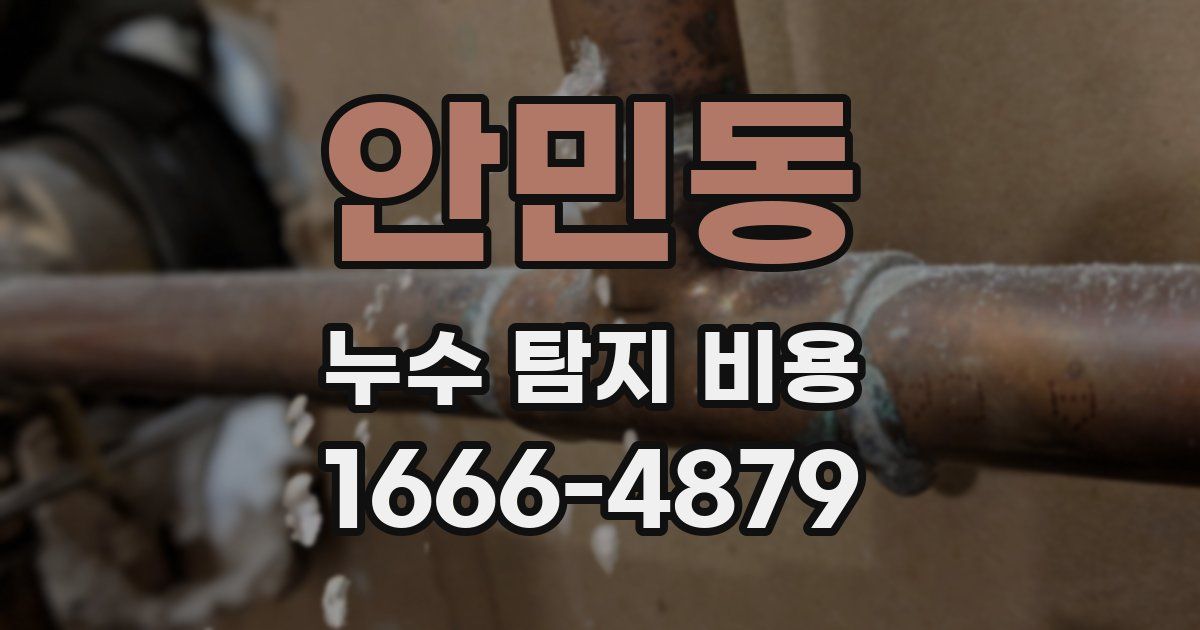 안민동 누수 탐지 비용