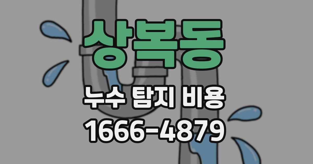 상복동 누수 탐지 비용