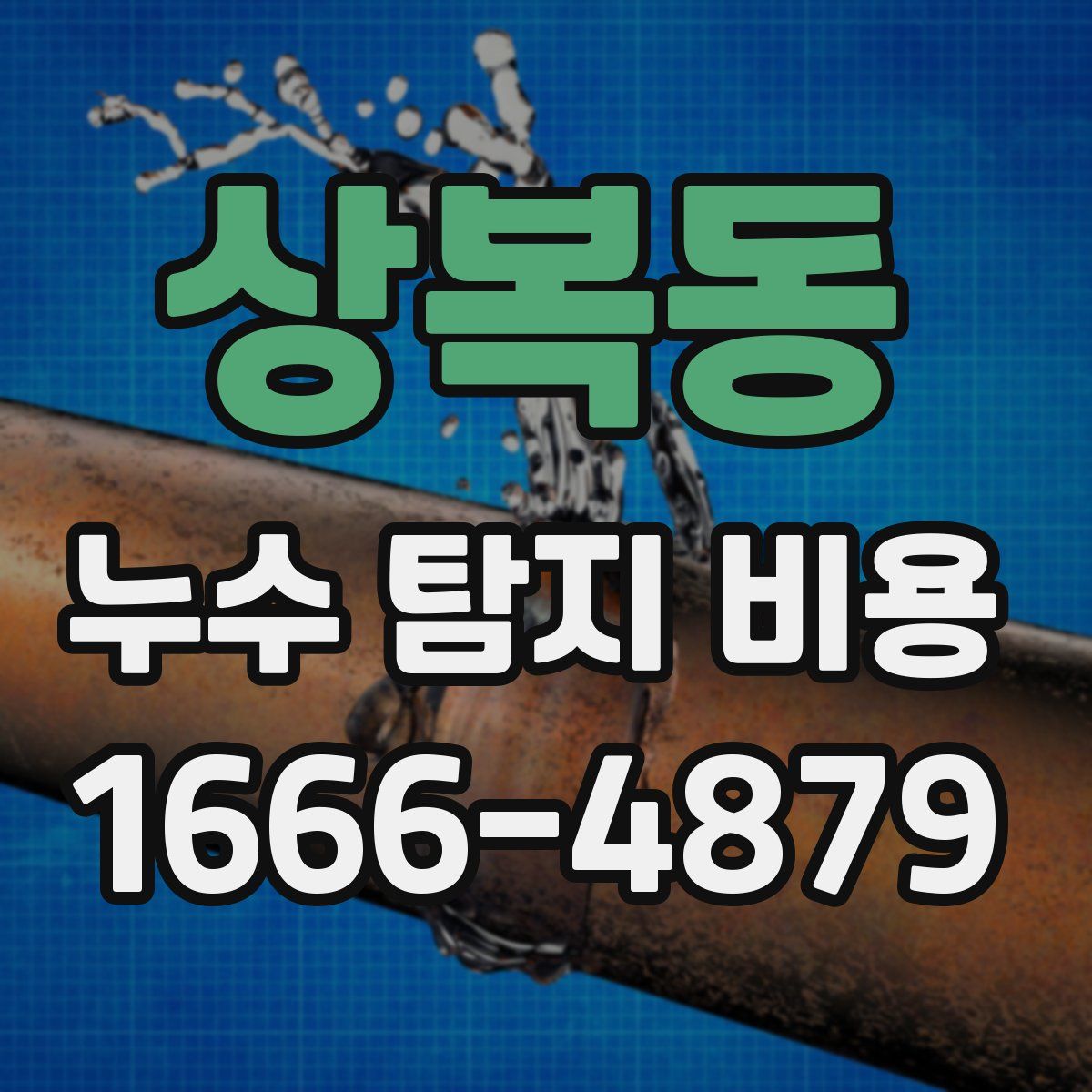 상복동 누수 탐지 비용