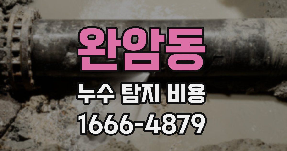 완암동 누수 탐지 비용